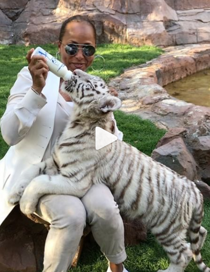 Marjorie Elaine Harvey